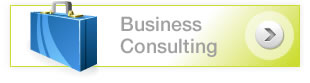 Business Consulting