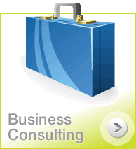 Business Consulting